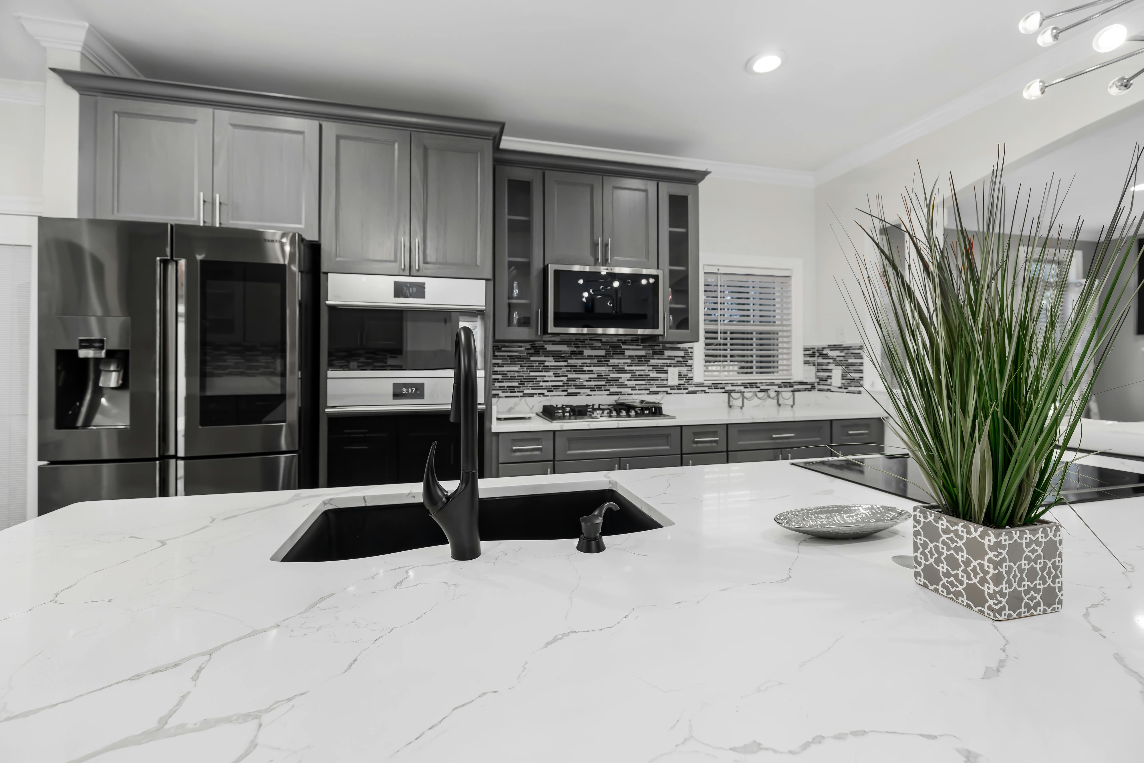 Luxury Condo Kitchen